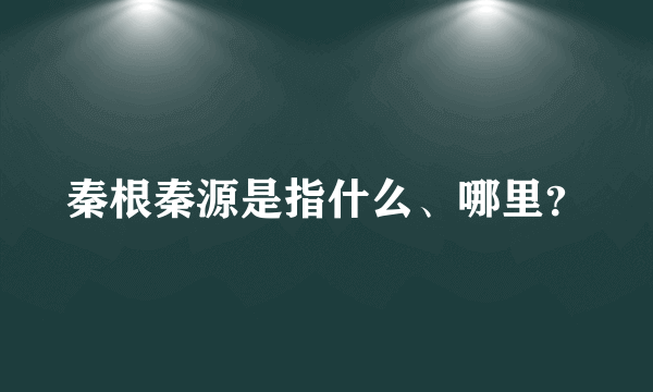 秦根秦源是指什么、哪里？