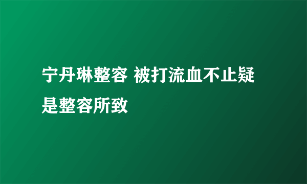 宁丹琳整容 被打流血不止疑是整容所致