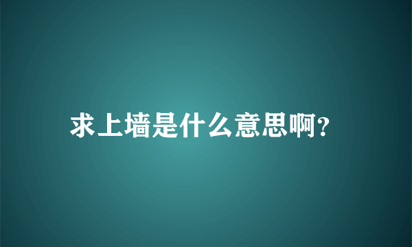 求上墙是什么意思啊？