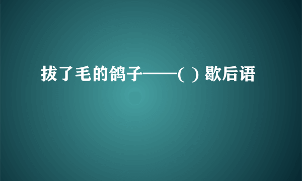 拔了毛的鸽子——( ) 歇后语