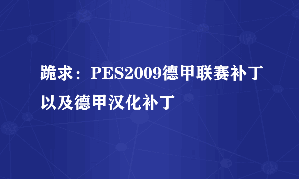 跪求：PES2009德甲联赛补丁以及德甲汉化补丁