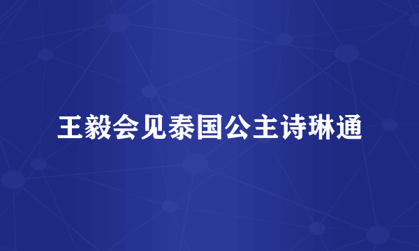 王毅会见泰国公主诗琳通