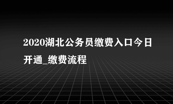 2020湖北公务员缴费入口今日开通_缴费流程