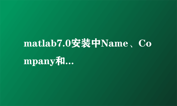 matlab7.0安装中Name、Company和enter your PLP填什么？