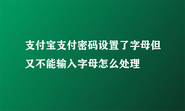 支付宝支付密码设置了字母但又不能输入字母怎么处理