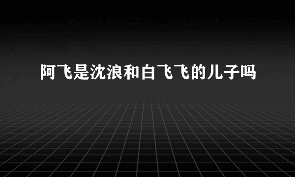 阿飞是沈浪和白飞飞的儿子吗