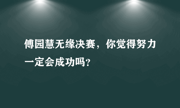 傅园慧无缘决赛，你觉得努力一定会成功吗？