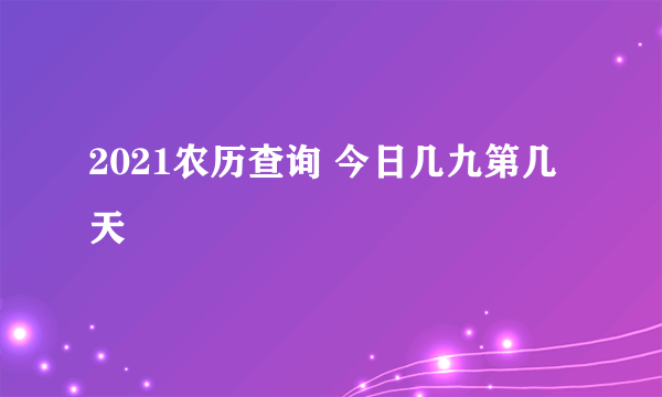 2021农历查询 今日几九第几天