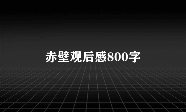 赤壁观后感800字