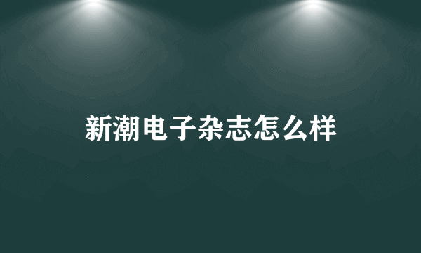 新潮电子杂志怎么样