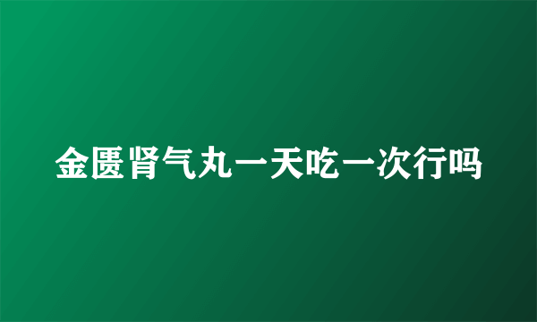 金匮肾气丸一天吃一次行吗