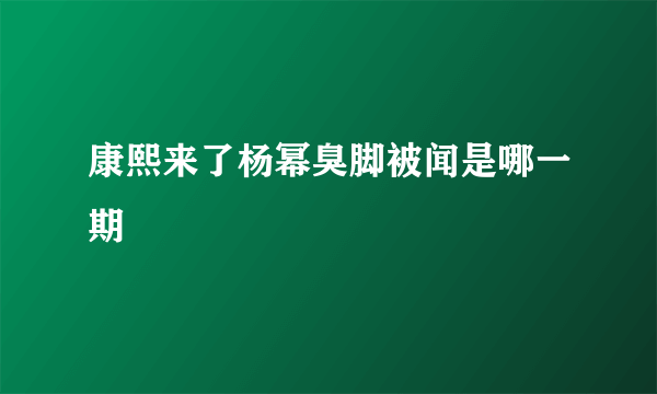 康熙来了杨幂臭脚被闻是哪一期