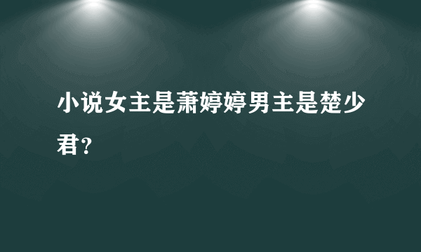 小说女主是萧婷婷男主是楚少君？