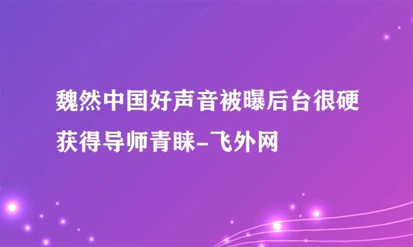 魏然中国好声音被曝后台很硬获得导师青睐-飞外网