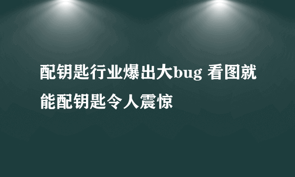 配钥匙行业爆出大bug 看图就能配钥匙令人震惊