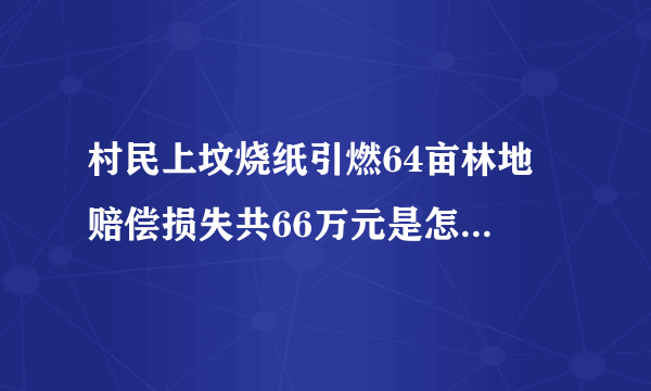 村民上坟烧纸引燃64亩林地 赔偿损失共66万元是怎么回事？