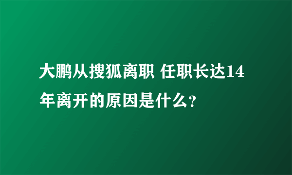 大鹏从搜狐离职 任职长达14年离开的原因是什么？