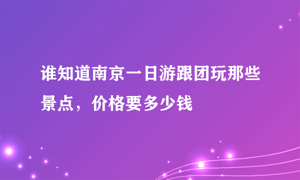 谁知道南京一日游跟团玩那些景点，价格要多少钱