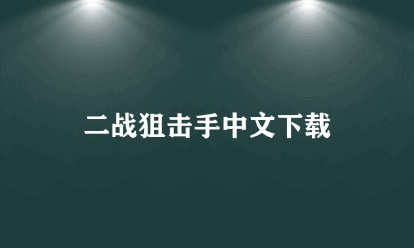 二战狙击手中文下载