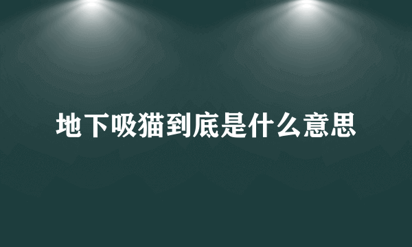 地下吸猫到底是什么意思