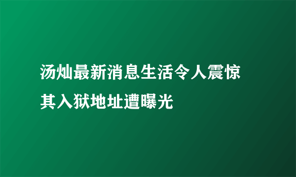 汤灿最新消息生活令人震惊 其入狱地址遭曝光