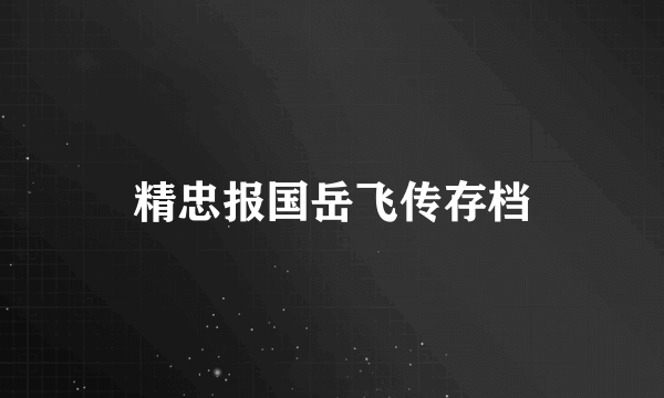 精忠报国岳飞传存档