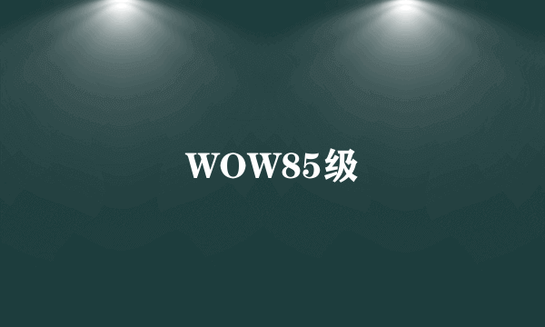 WOW85级