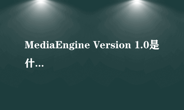 MediaEngine Version 1.0是什么东西.有什么用?