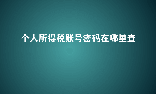 个人所得税账号密码在哪里查