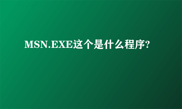 MSN.EXE这个是什么程序?