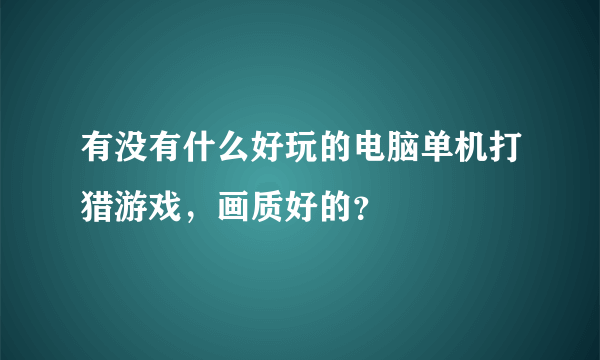 有没有什么好玩的电脑单机打猎游戏，画质好的？