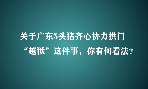 关于广东5头猪齐心协力拱门“越狱”这件事，你有何看法？