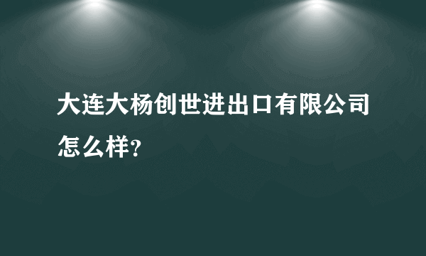 大连大杨创世进出口有限公司怎么样？