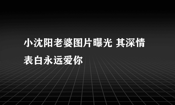 小沈阳老婆图片曝光 其深情表白永远爱你