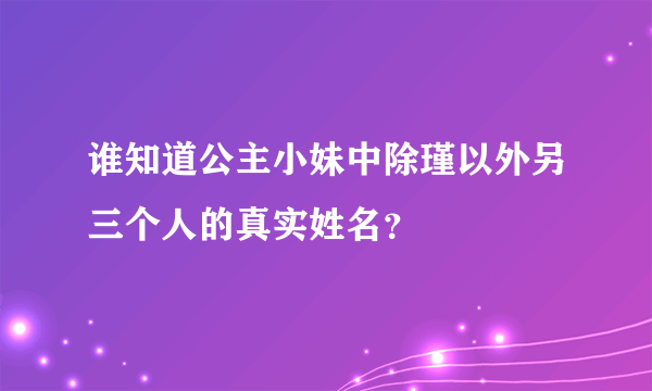 谁知道公主小妹中除瑾以外另三个人的真实姓名？