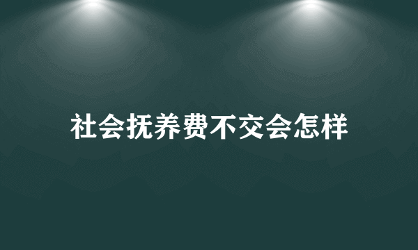 社会抚养费不交会怎样