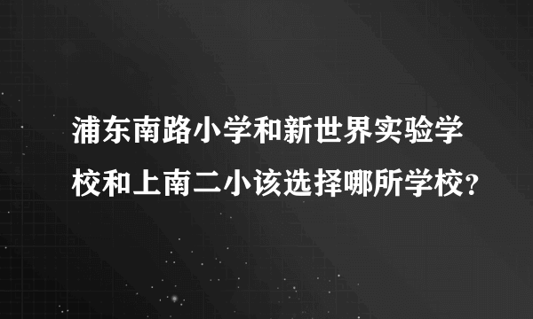 浦东南路小学和新世界实验学校和上南二小该选择哪所学校？