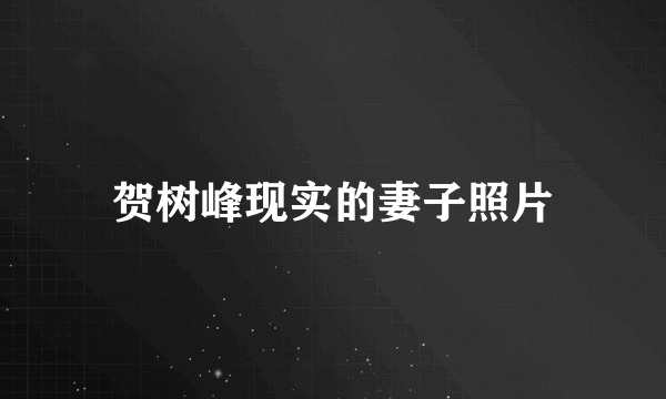 贺树峰现实的妻子照片