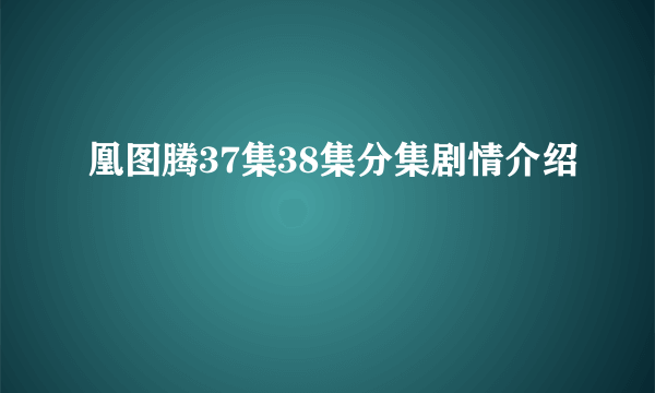 凰图腾37集38集分集剧情介绍