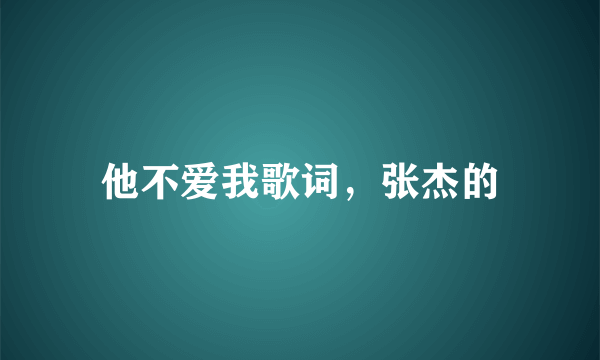 他不爱我歌词，张杰的