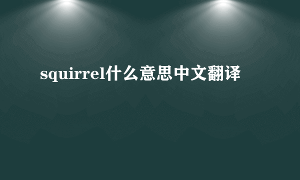 squirrel什么意思中文翻译