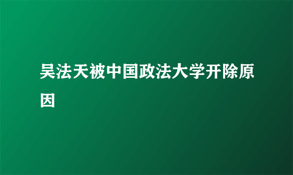 吴法天被中国政法大学开除原因