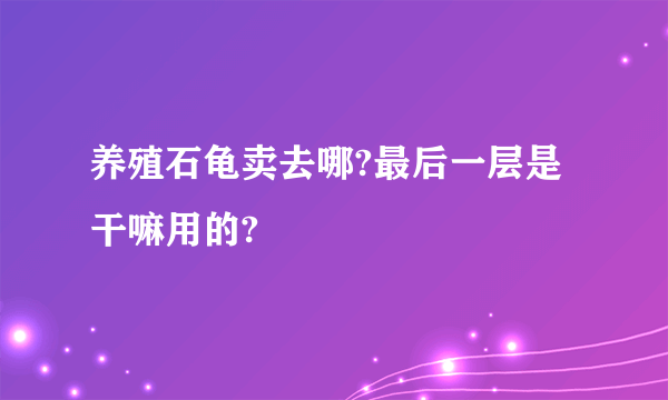 养殖石龟卖去哪?最后一层是干嘛用的?