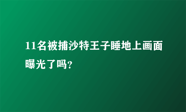 11名被捕沙特王子睡地上画面曝光了吗？