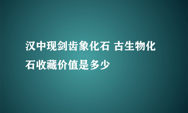 汉中现剑齿象化石 古生物化石收藏价值是多少