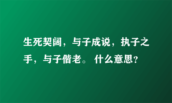 生死契阔，与子成说，执子之手，与子偕老。 什么意思？