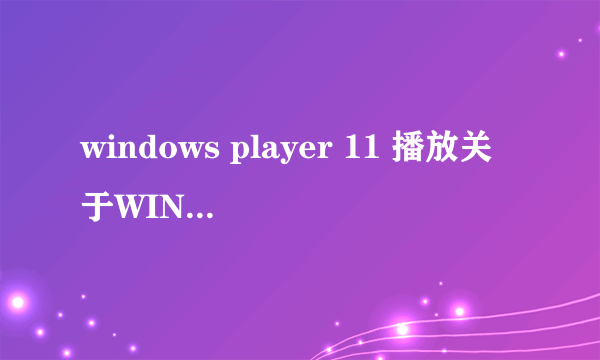 windows player 11 播放关于WINDOWS11