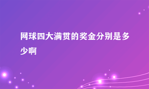 网球四大满贯的奖金分别是多少啊