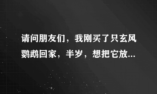 请问朋友们，我刚买了只玄风鹦鹉回家，半岁，想把它放生，不知道它在外面能生存吗？都说说把，谢谢