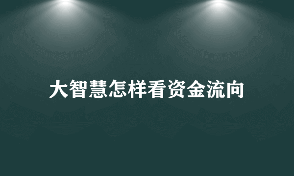 大智慧怎样看资金流向